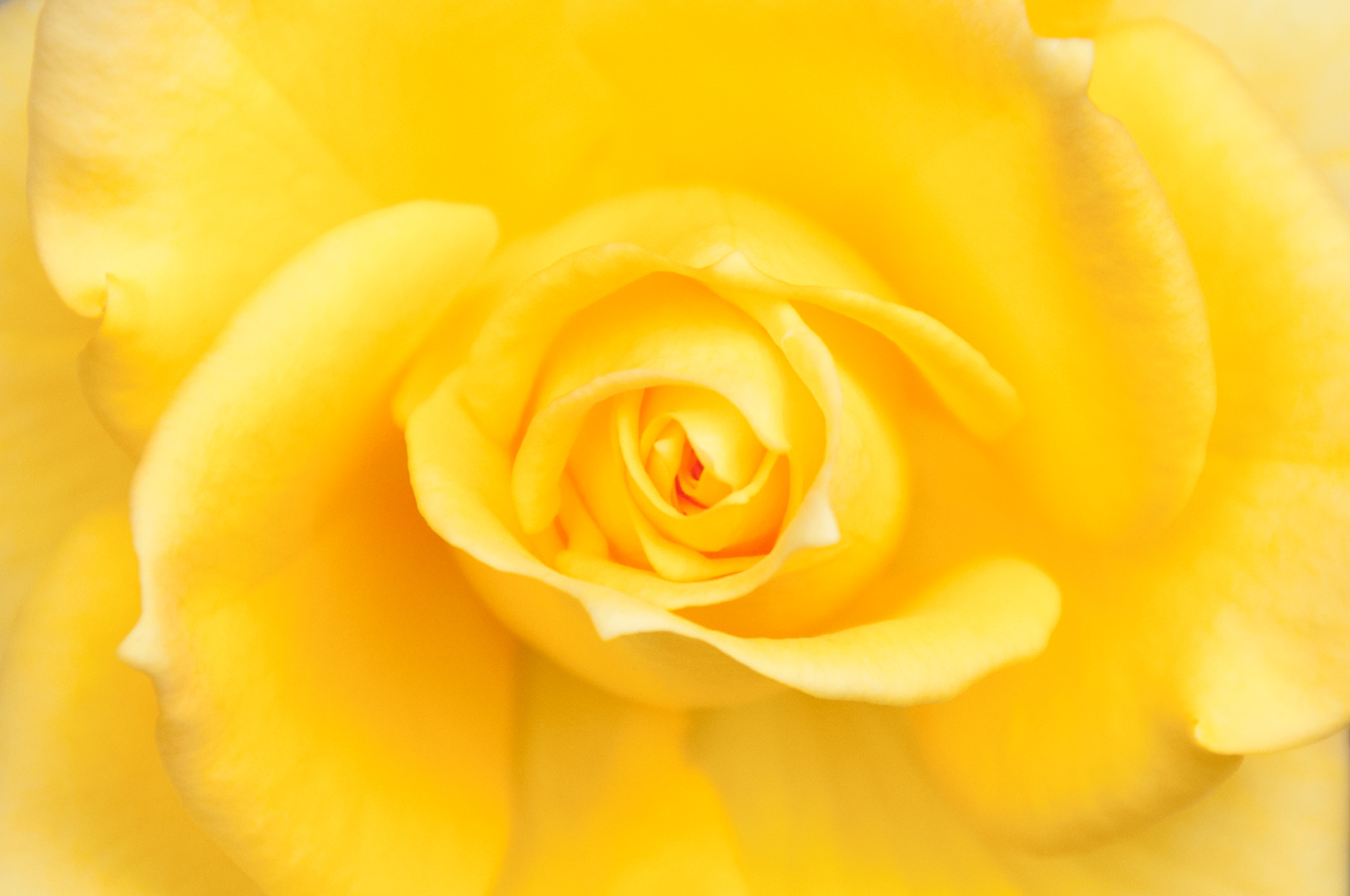 http://i.dcview.tw/gallery/201301/8bc0935597ea3784d7a23824325f0185.jpg