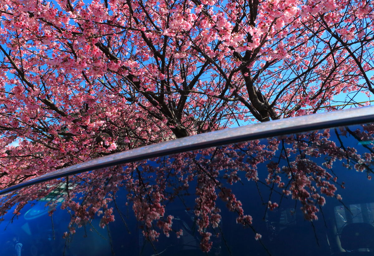 http://i.dcview.tw/gallery/201301/8f901cdbaecca16ad74df1a9d0f853f1.jpg