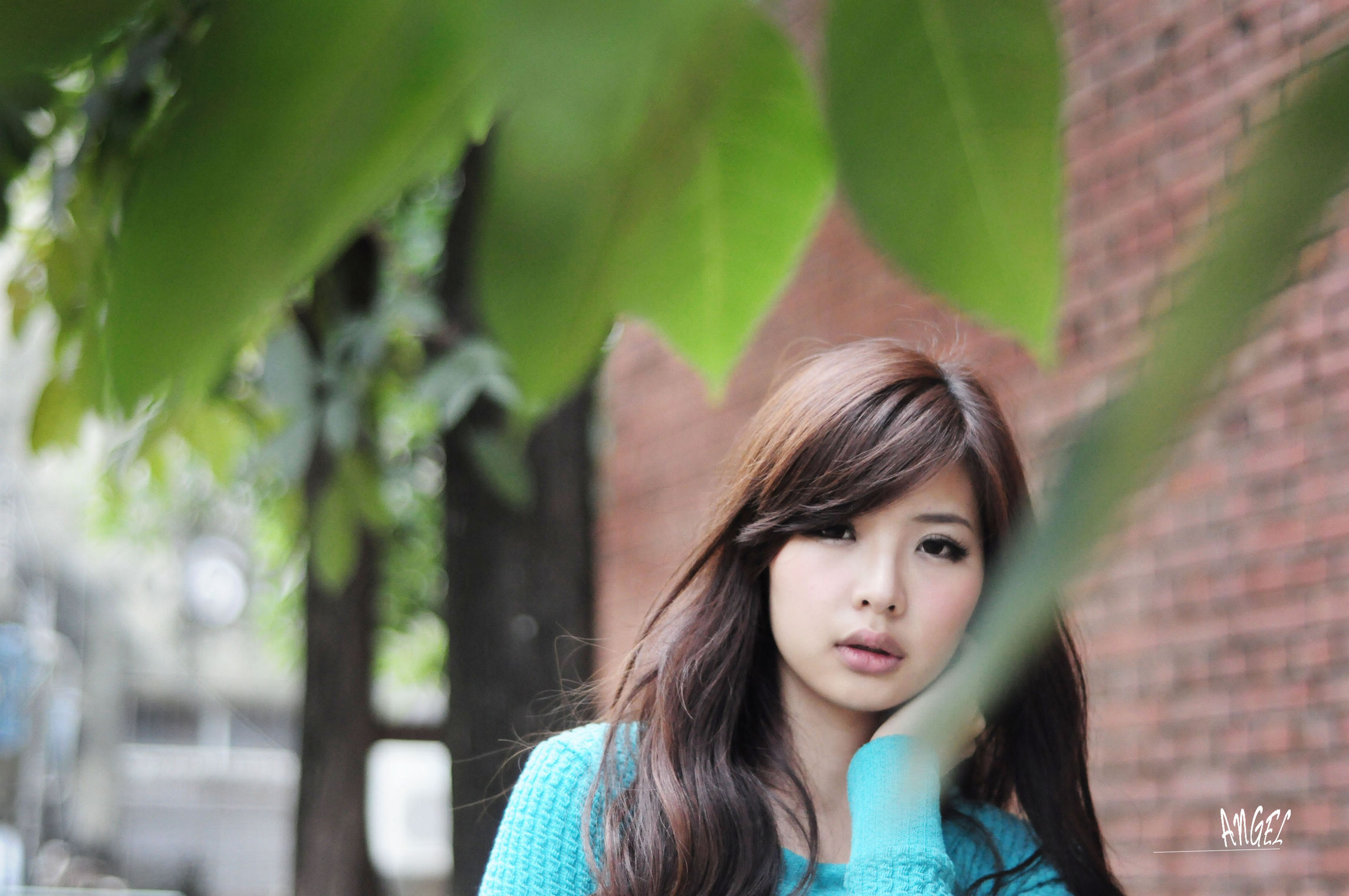 http://i.dcview.tw/gallery/201301/93f2f32d712c5bd06cbb4887c50b8172.jpg