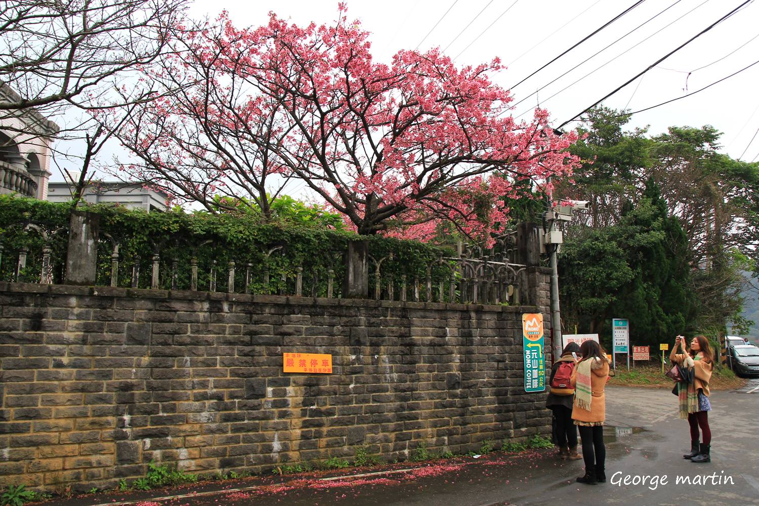 http://i.dcview.tw/gallery/201301/99db31f2f275c35cad6716622098e84b.jpg