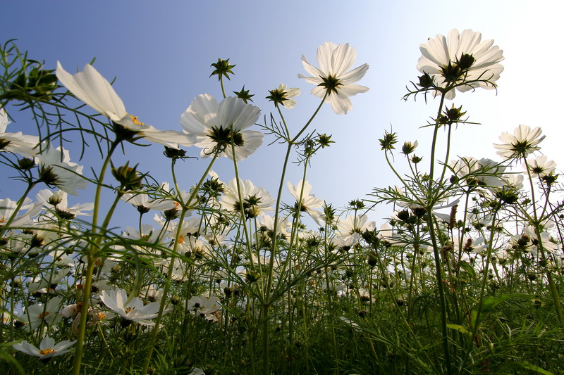 http://i.dcview.tw/gallery/201301/a51bb1a8a71d3c910b6b4d2d7fae0c39.jpg