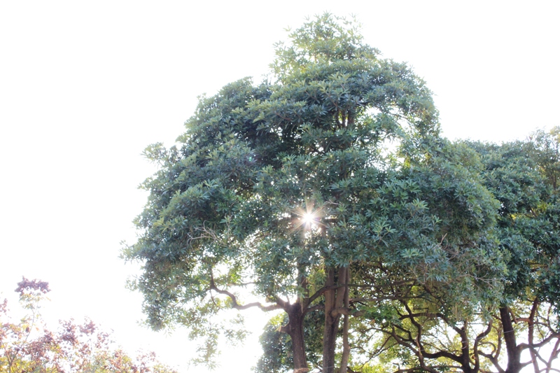 http://i.dcview.tw/gallery/201301/b274c0bca5f5f7374266e7897eede58a.jpg