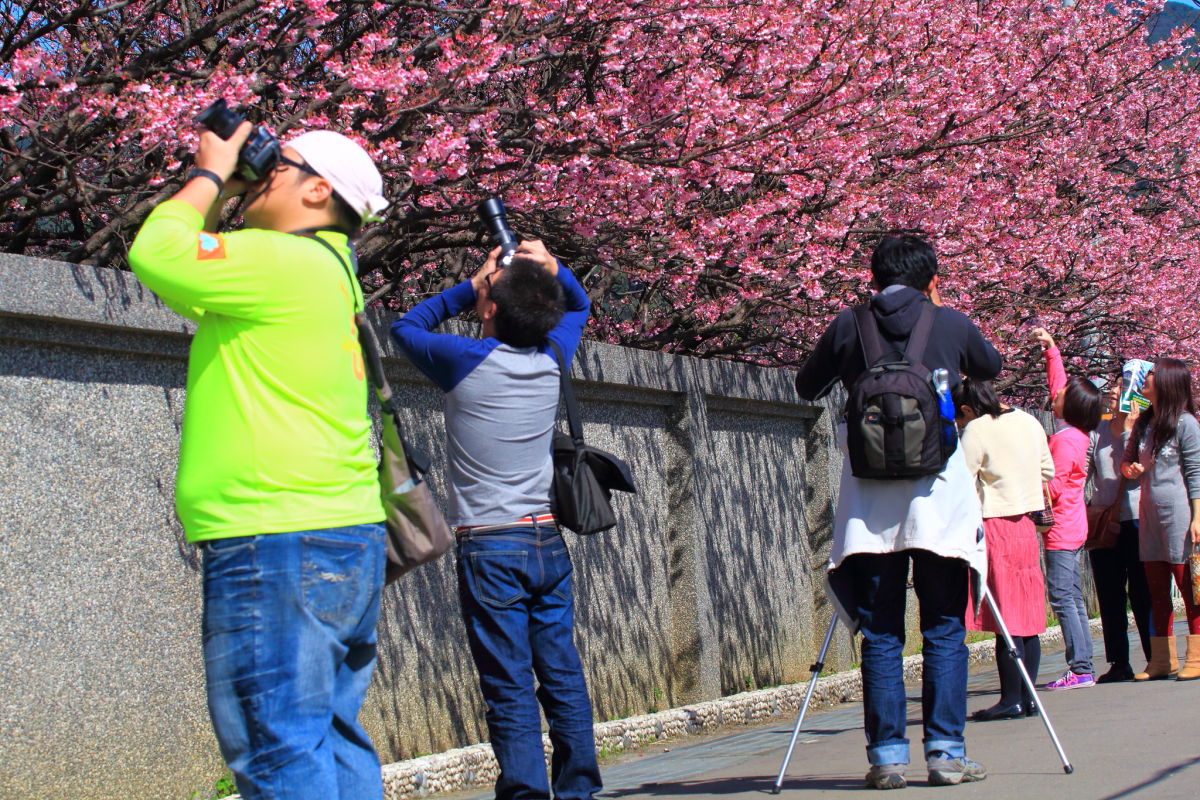 http://i.dcview.tw/gallery/201301/b9e639a1535795b64be6339eb92d512f.jpg
