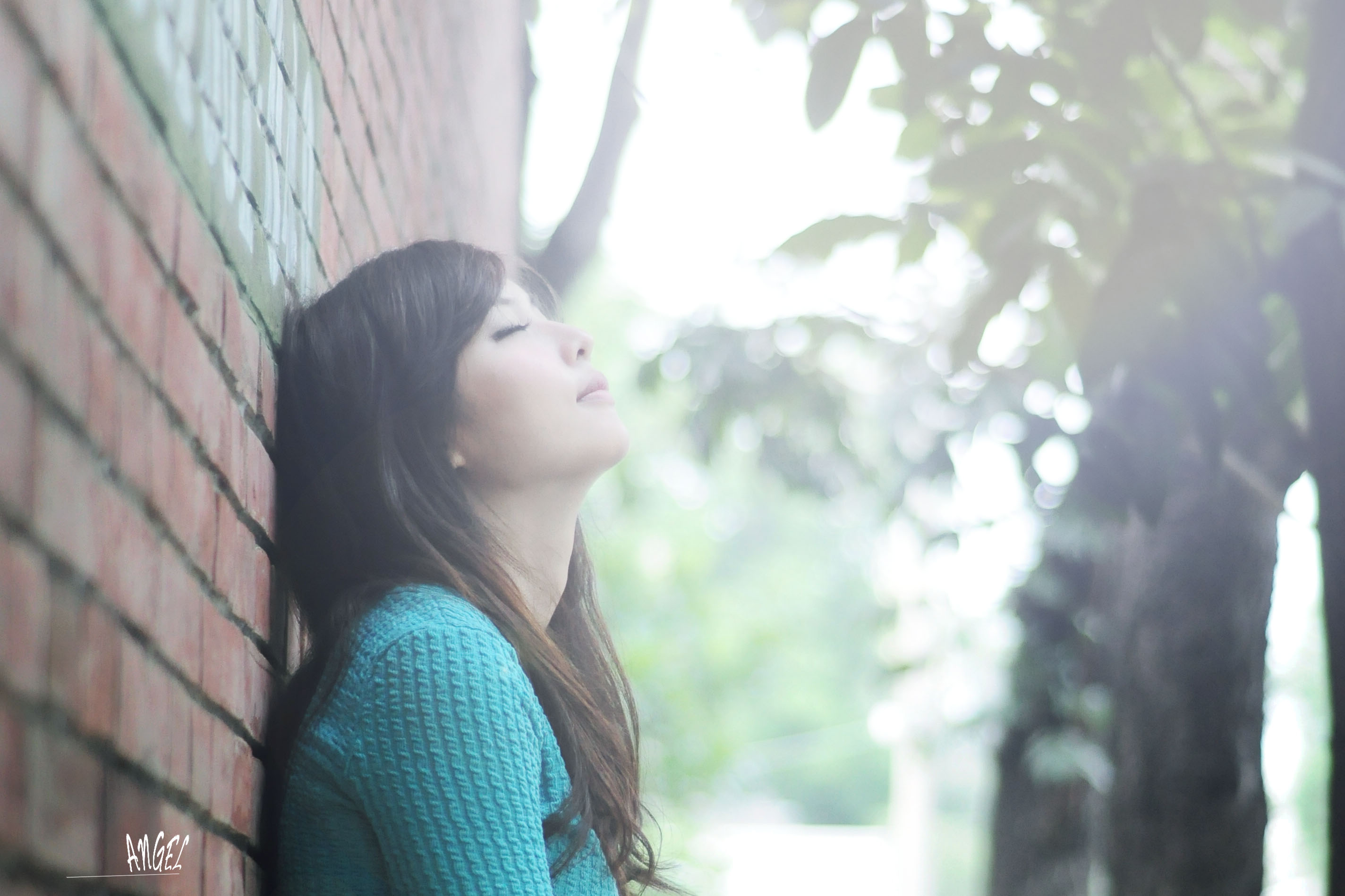 http://i.dcview.tw/gallery/201301/c1c5c4cdec6d1a993318e60527daf11a.jpg