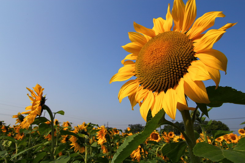 http://i.dcview.tw/gallery/201301/de06a7640d392950e829eeb1e4bbba34.jpg