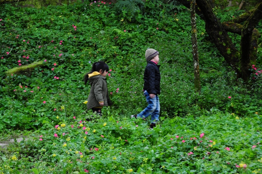 http://i.dcview.tw/gallery/201301/e8cc35e852275d383e63f4e9726d519e.jpg