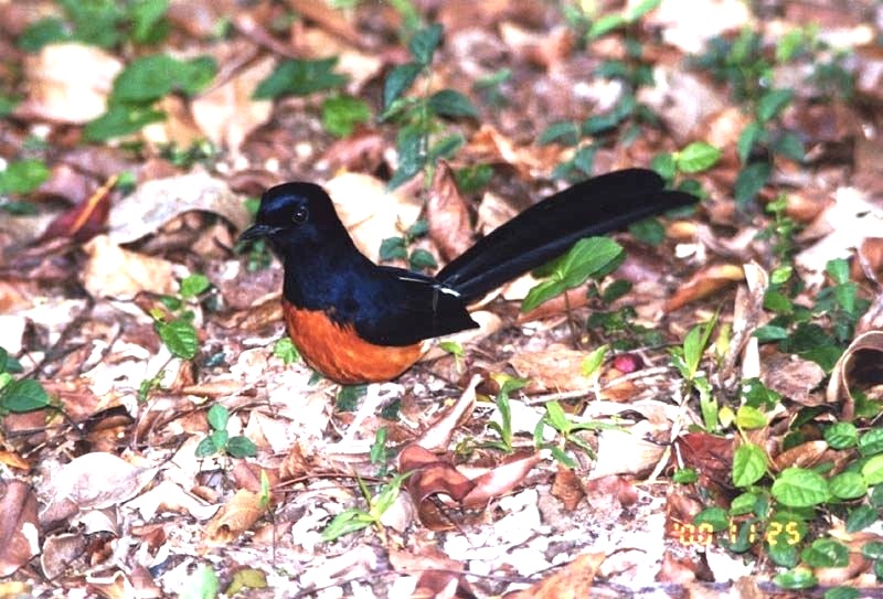 http://i.dcview.tw/gallery/201301/f340ffa1147c6363ce0e27bc0dde7091.jpg