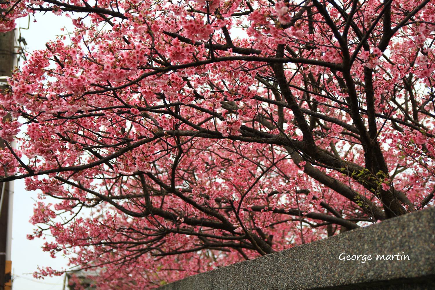 http://i.dcview.tw/gallery/201301/fa4aef261c00f365cf8afb3f862e949d.jpg
