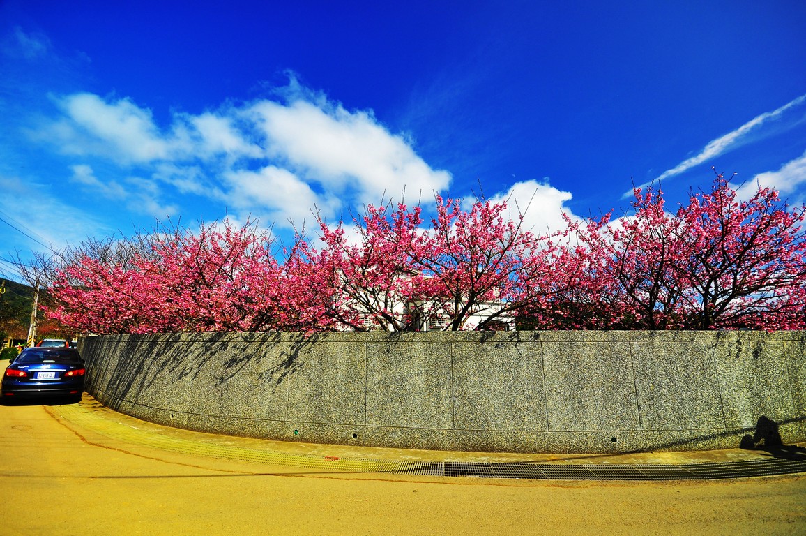 http://i.dcview.tw/gallery/201301/fb51e03534205ff4e8cce40a9c321530.jpg