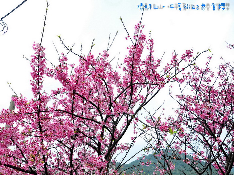 http://i.dcview.tw/gallery/201301/fc508d160315be1fc9a916e7d75c0340.jpg