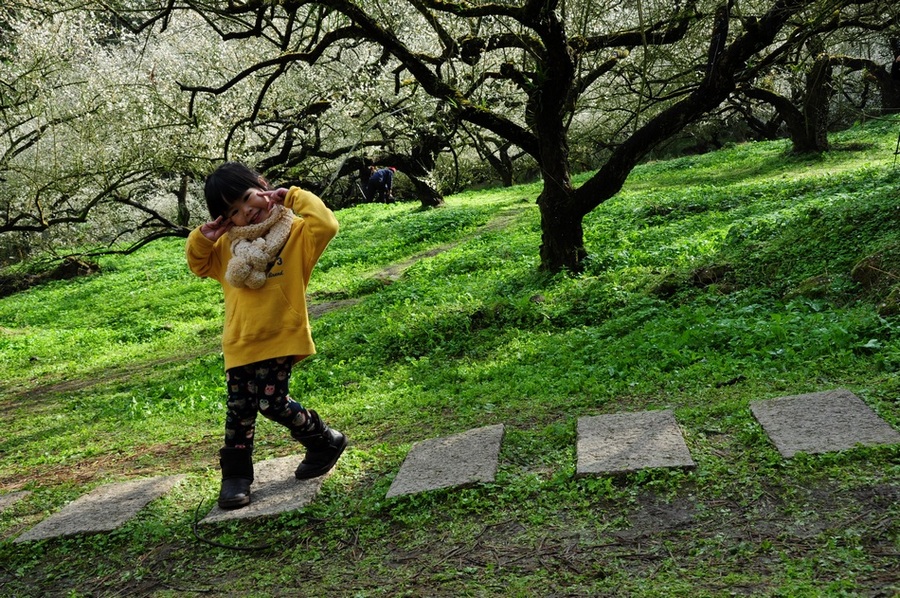 http://i.dcview.tw/gallery/201301/ff8c4e213fd34a725c836c65638ed216.jpg