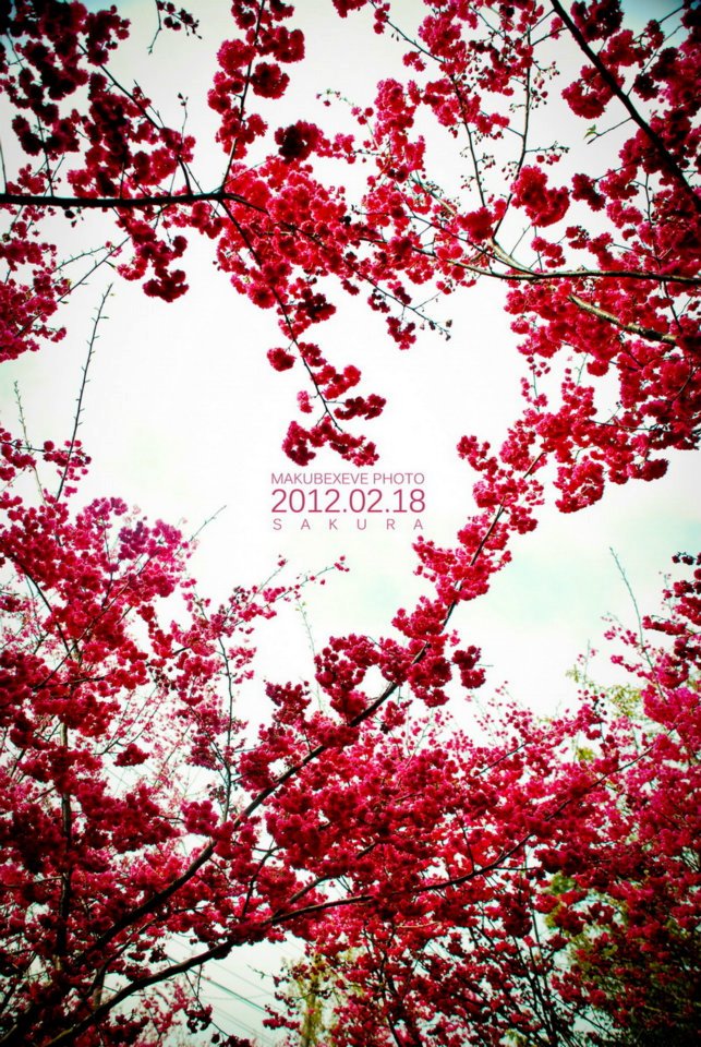 http://i.dcview.tw/gallery/201302/02298ade963dad49a71df83a46adf081.jpg