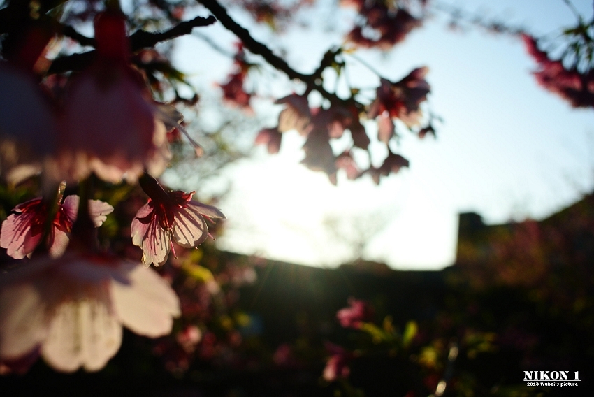 http://i.dcview.tw/gallery/201302/02620c6810e4d8370b1cee137eb710bf.jpg