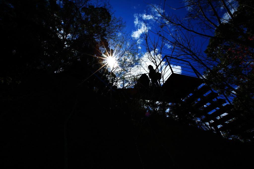 http://i.dcview.tw/gallery/201302/02c015d633b7f894d0a310ff0916410a.jpg