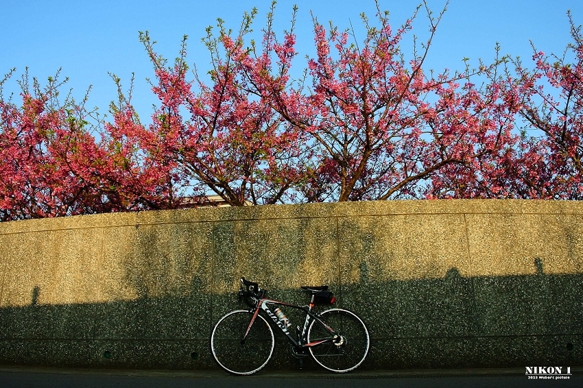 http://i.dcview.tw/gallery/201302/02e32acd5101b447fa5ef91b70c0e8b7.jpg