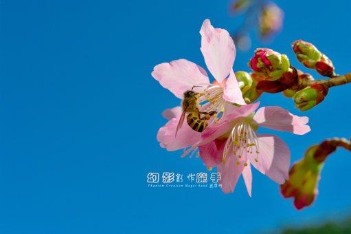 http://i.dcview.tw/gallery/201302/0658fff39a2c3b3c8e0b9560fddb3239.jpg