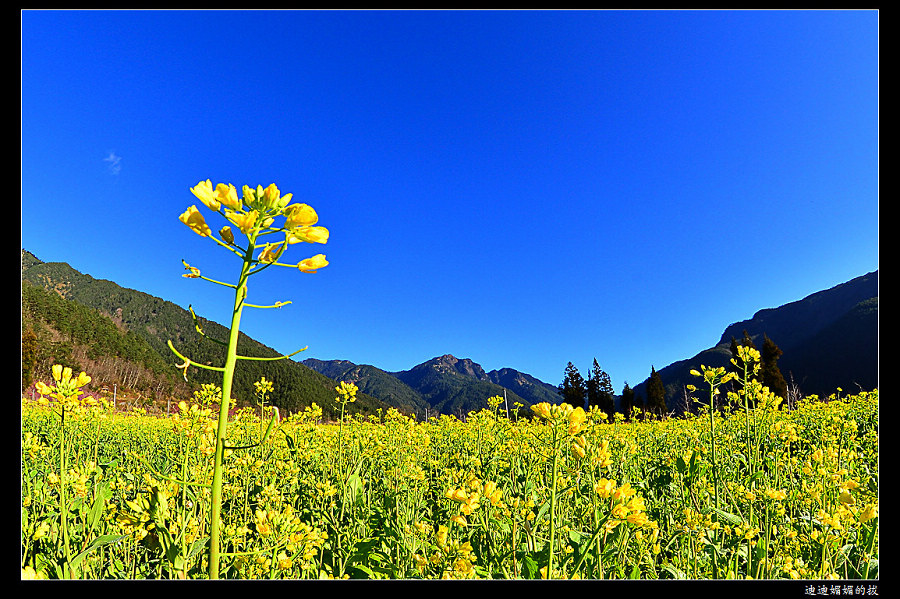 http://i.dcview.tw/gallery/201302/08245d2f5d3ae02b6a0a827b07fa3a6a.jpg