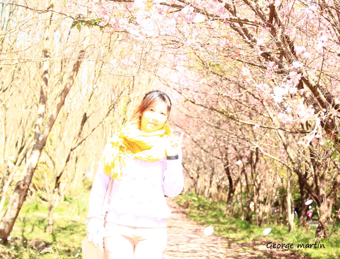 http://i.dcview.tw/gallery/201302/0bff0c6fd01cb62df92981025828bcd1.jpg
