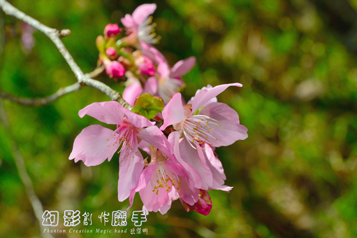 http://i.dcview.tw/gallery/201302/14362ad6d1bfbb4e9729c2a7245057a7.jpg