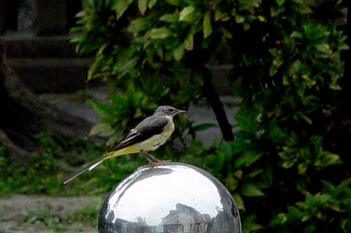 http://i.dcview.tw/gallery/201302/18aefd3922e170a2042052ffa0b52766.jpg