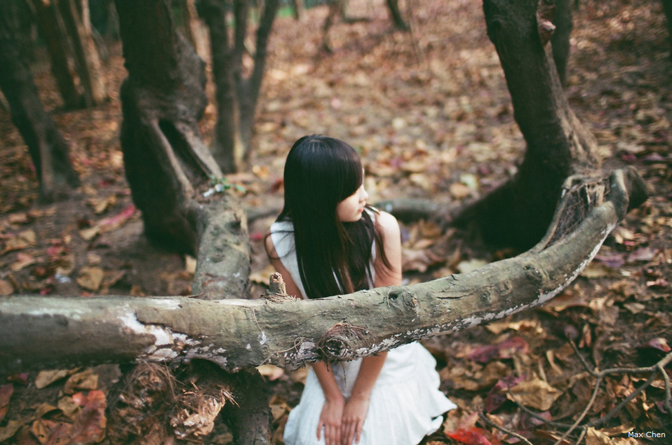 http://i.dcview.tw/gallery/201302/1d2e973a76e55945effdcc6918fa2091.jpg