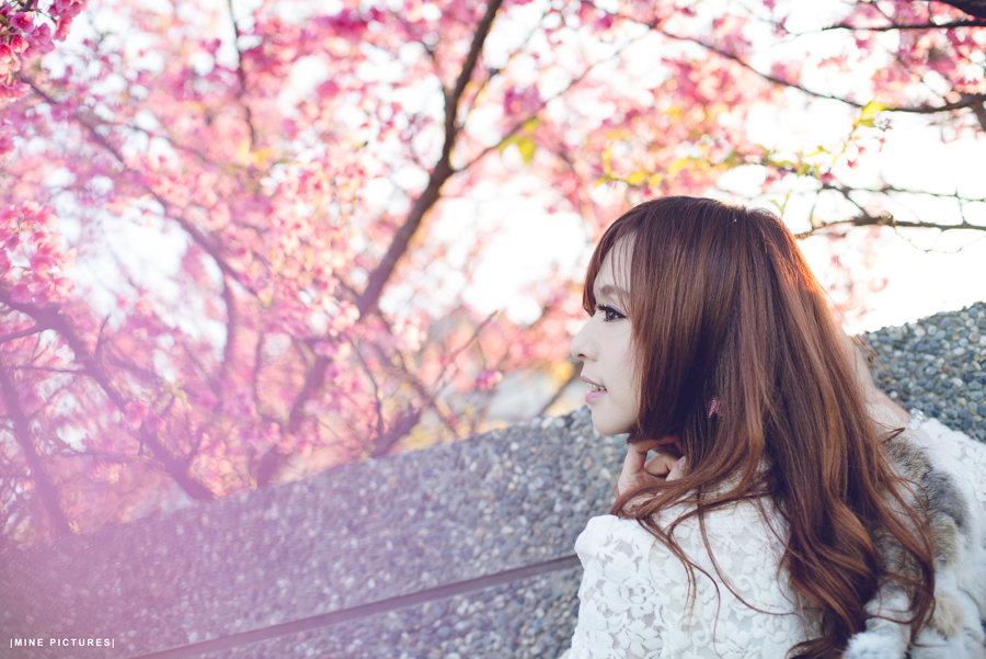 http://i.dcview.tw/gallery/201302/22ad57ba238f46611f7f1c3d466c01b7.jpg