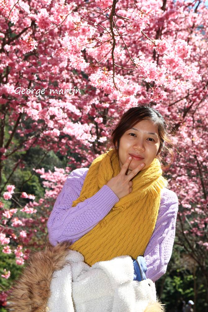 http://i.dcview.tw/gallery/201302/24942d1e164d3421ae75ff88809fa14c.jpg