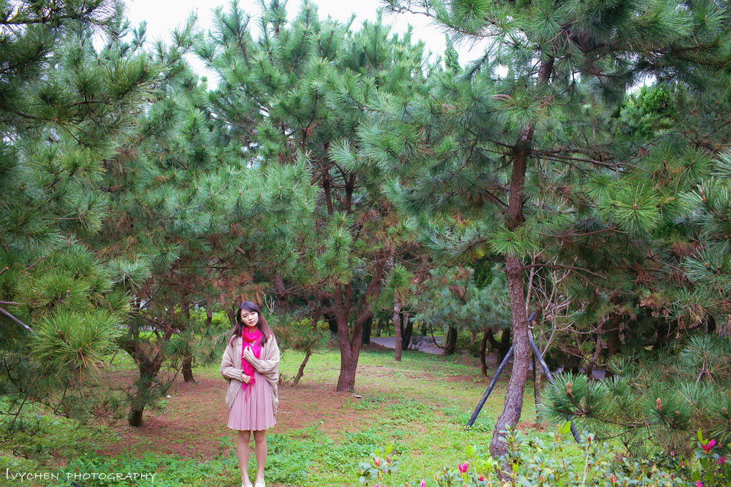 http://i.dcview.tw/gallery/201302/2514ab05ef67c29c1412d21d6b70a429.jpg