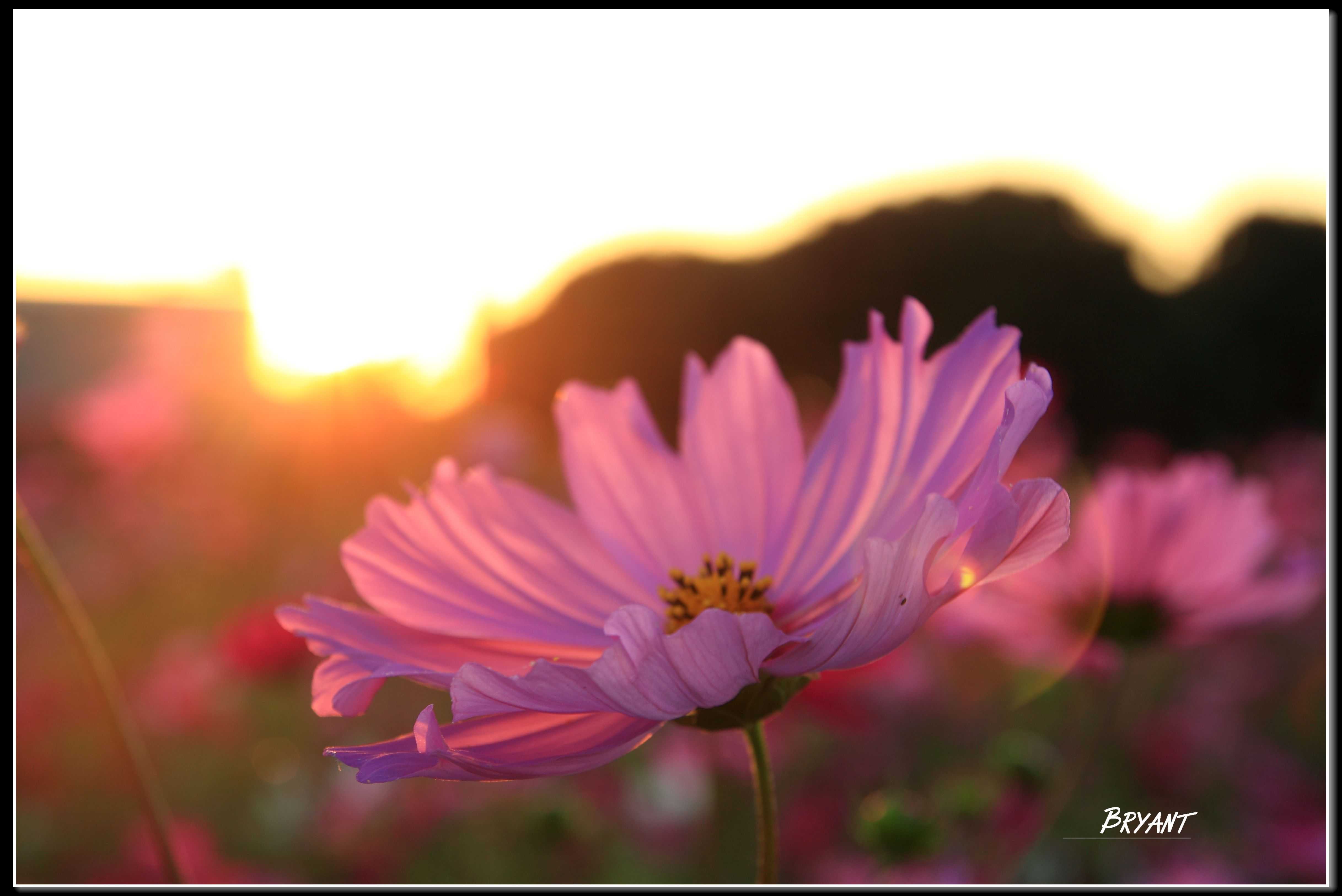 http://i.dcview.tw/gallery/201302/2d052319a70169beca48c9d76829f5b4.jpg