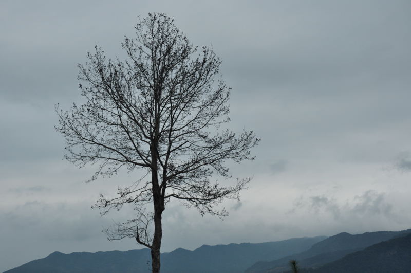 http://i.dcview.tw/gallery/201302/36b98ad92e01ed727d7e9bf06d14e278.jpg