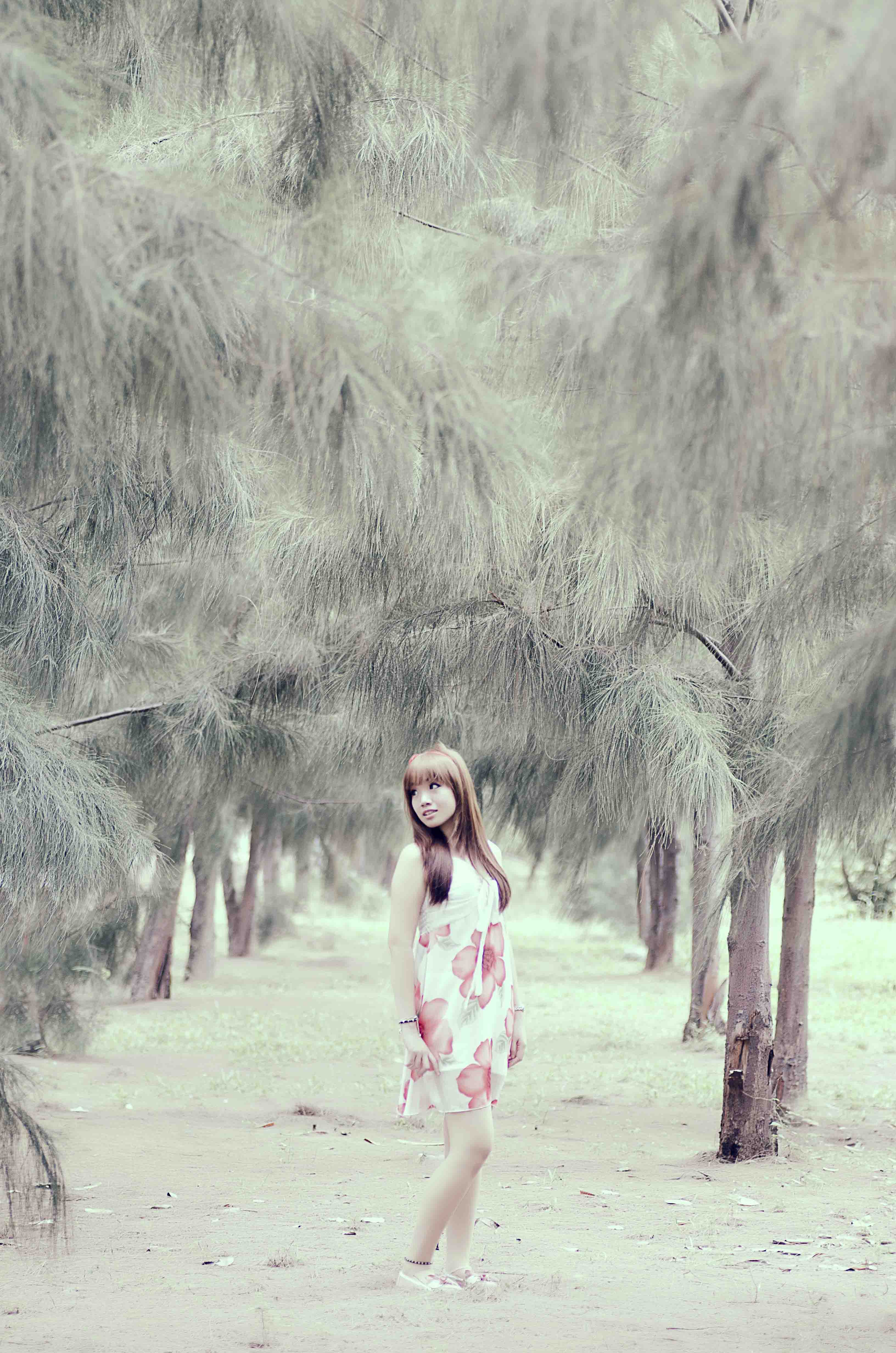http://i.dcview.tw/gallery/201302/38df212cd1091e355cc813369109c9bc.jpg