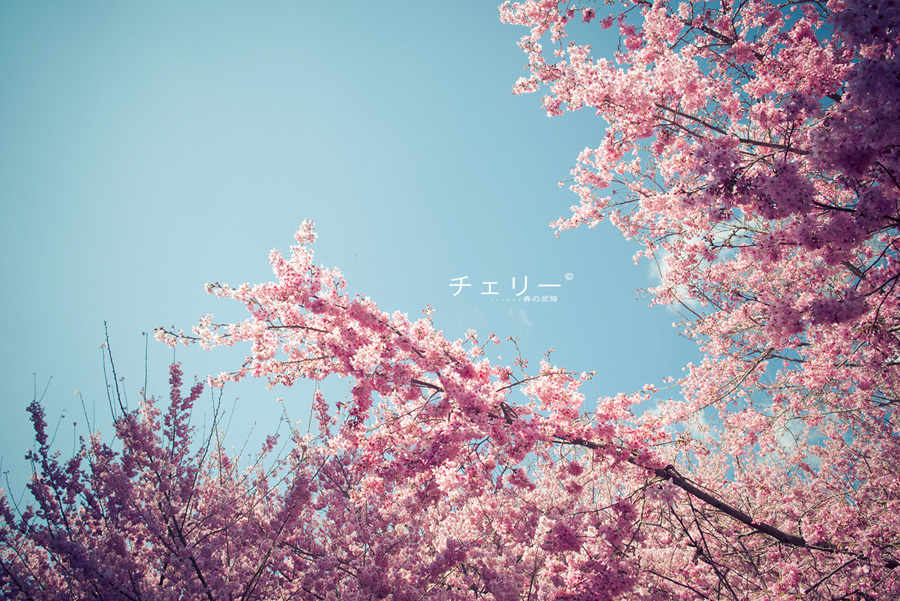 http://i.dcview.tw/gallery/201302/3988458c430d611b263afe1f1ab497c4.jpg