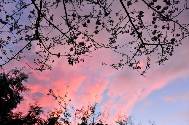 http://i.dcview.tw/gallery/201302/3b7789f781f3ac52882457ad36b17a6b.jpg