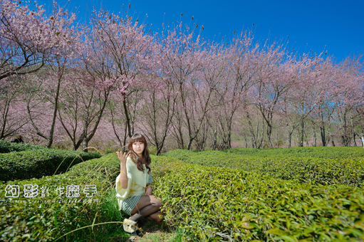http://i.dcview.tw/gallery/201302/3dd78ccb5ec453d9737d9101e47270f1.jpg