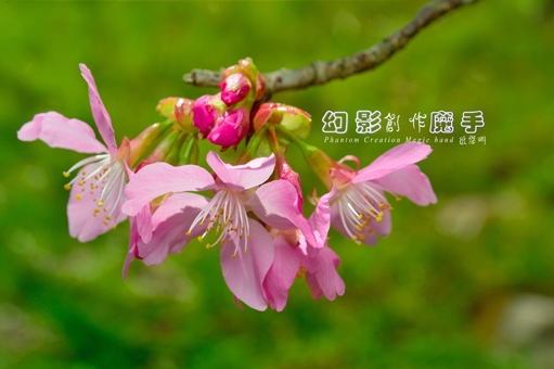 http://i.dcview.tw/gallery/201302/474a259f0ef376cba069697b2bc15094.jpg