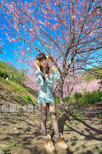 http://i.dcview.tw/gallery/201302/4d142e891627f36a4ec3bdfd9500ddbc.jpg