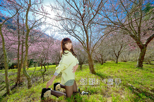 http://i.dcview.tw/gallery/201302/5253b4c0ff19b5a0013448f4990a7166.jpg