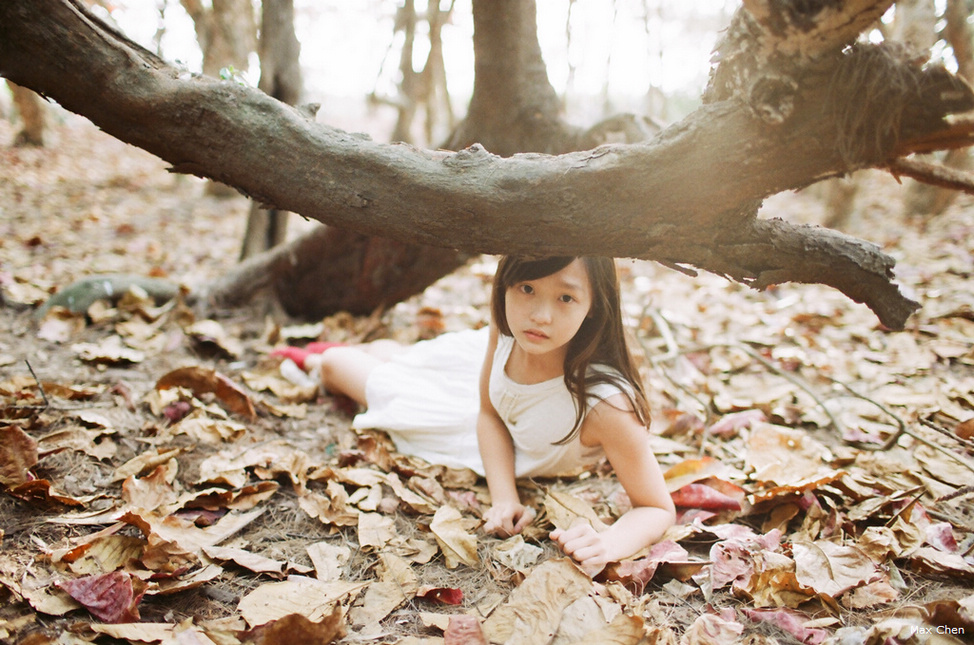 http://i.dcview.tw/gallery/201302/54281a16a6713f8b959424448540f6f0.jpg