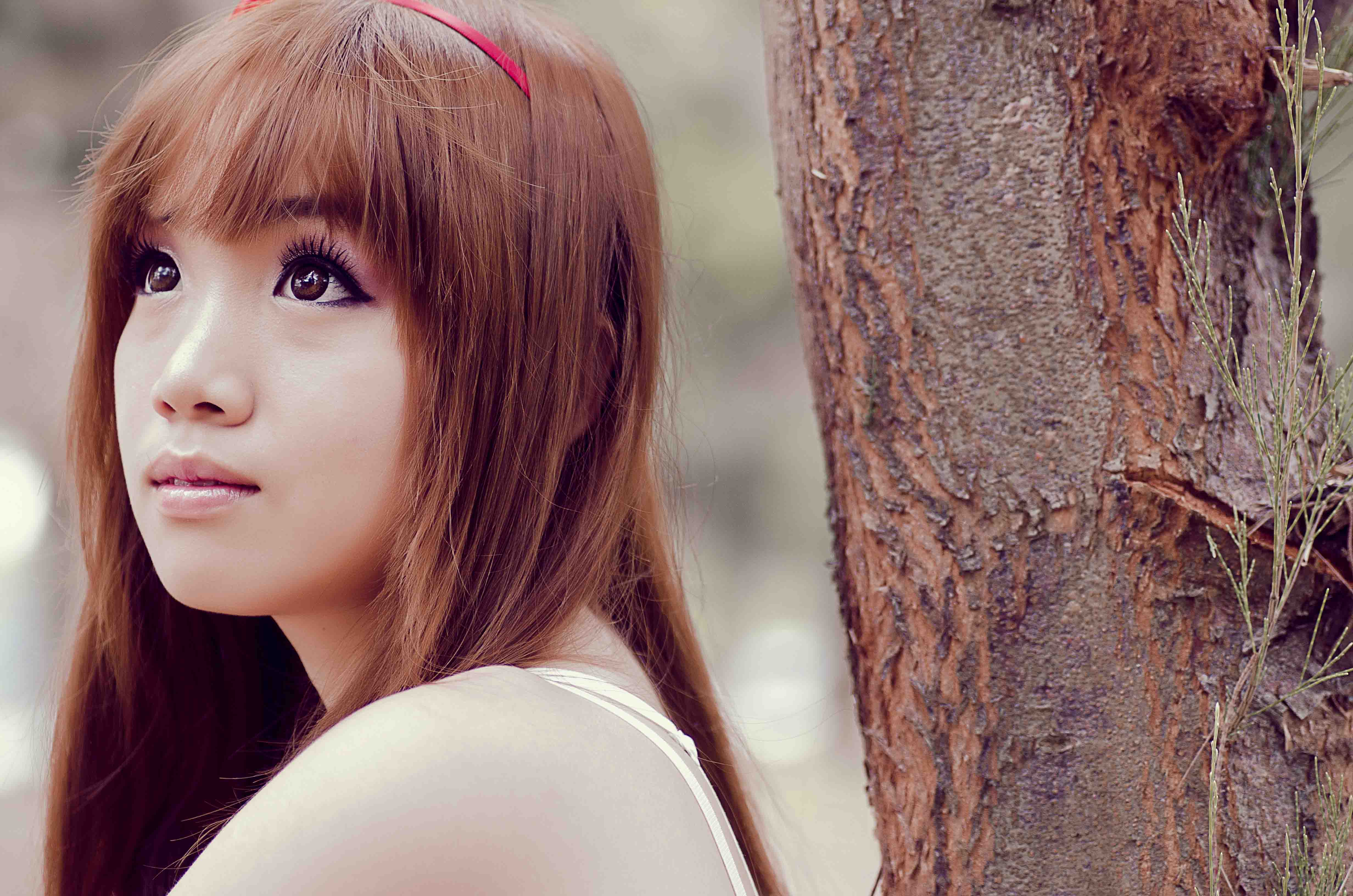 http://i.dcview.tw/gallery/201302/5574d6a98edf580714edbb1b7d54d577.jpg