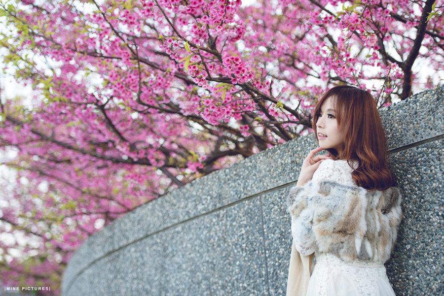 http://i.dcview.tw/gallery/201302/59b04bc717bf568f2e255e326425dd6e.jpg