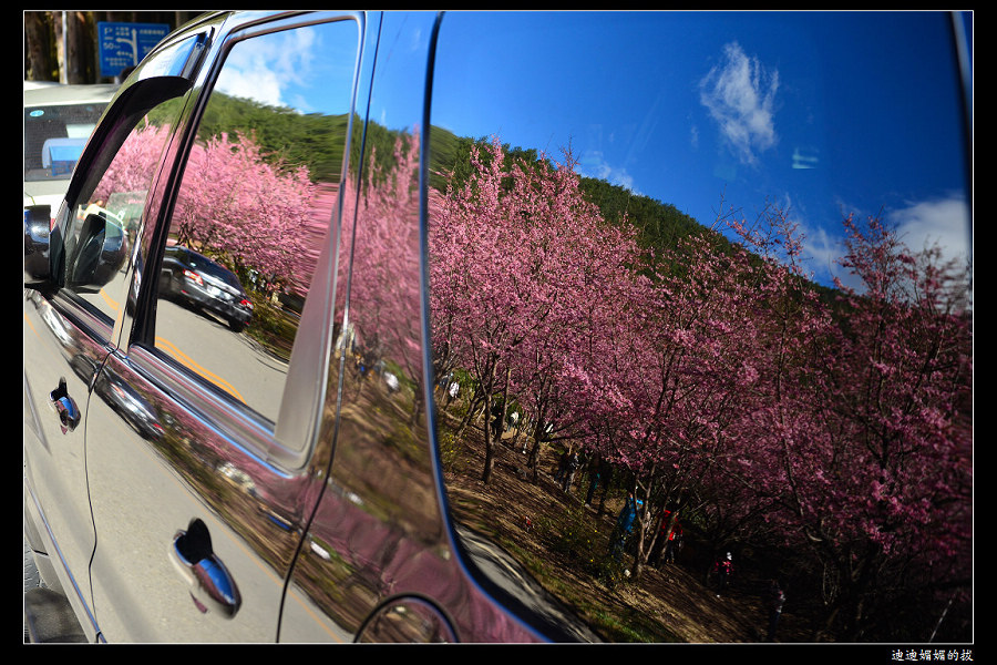 http://i.dcview.tw/gallery/201302/5d617643f7286f76ae64f59144b7566e.jpg