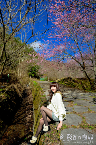 http://i.dcview.tw/gallery/201302/61222b632be282a1d935c817283f4c13.jpg
