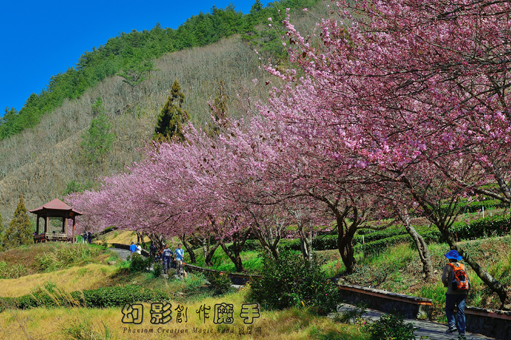 http://i.dcview.tw/gallery/201302/61baed1c5542cc08d18cb5fcd3cbb26a.jpg