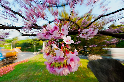 http://i.dcview.tw/gallery/201302/69bf577792a6bfa7278108ae77ebc37b.jpg