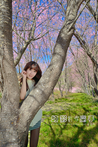 http://i.dcview.tw/gallery/201302/6c80fd3698392ac6975689ee0dc2ec7e.jpg