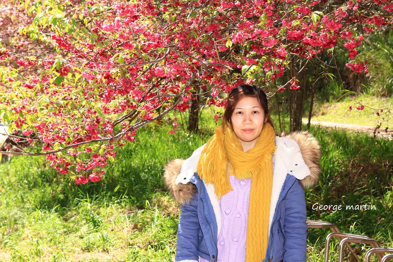 http://i.dcview.tw/gallery/201302/6ea47ec5d087c2b1a4f81e7f237706f2.jpg