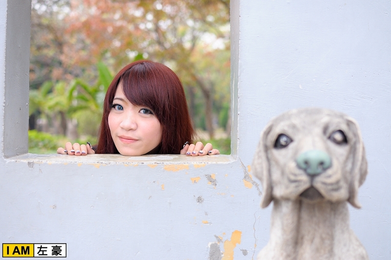 http://i.dcview.tw/gallery/201302/71e659be15ae387f633344759c442a34.jpg