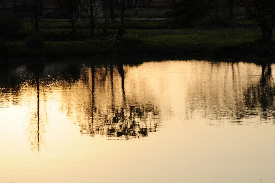 http://i.dcview.tw/gallery/201302/733a5bb2e5d2dc069e815b0169079e9a.jpg