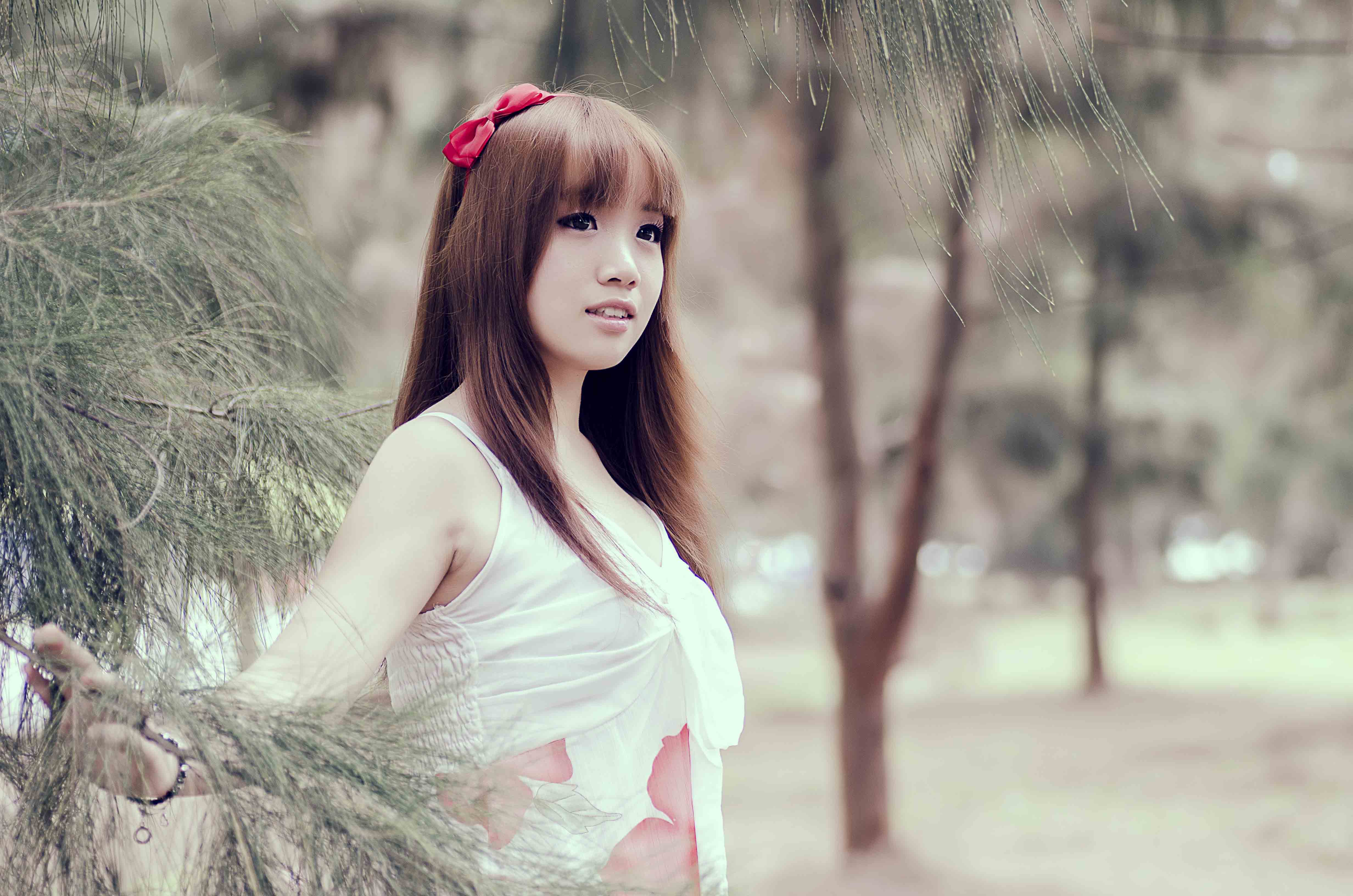 http://i.dcview.tw/gallery/201302/73a8e991d90f59170287816619454222.jpg