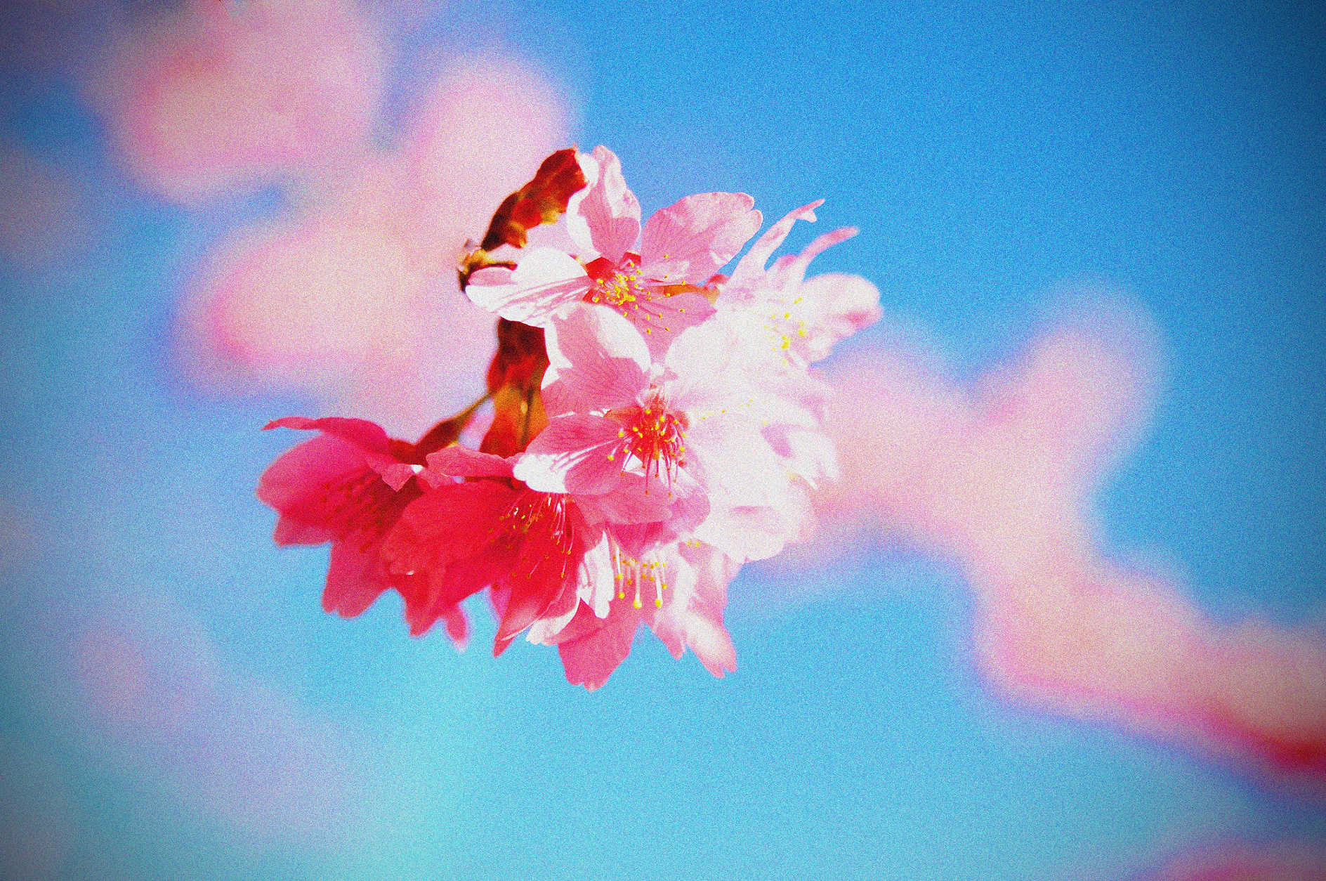 http://i.dcview.tw/gallery/201302/73aa62f0aae11b953dd62d6f15524896.jpg
